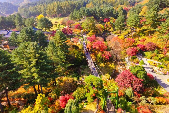 Pocheon Art Valley, Garden & Fruit Picking Day Tour from Seoul - Pacing across 10 to 11 hours: how the timing adds up