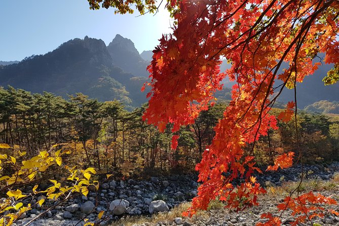 [Premium Private Tour] Mt Seorak & East Sea or Nami island from Seoul - Dongmyeong Port in Sokcho: Lighthouse Views Plus Fish Market Time