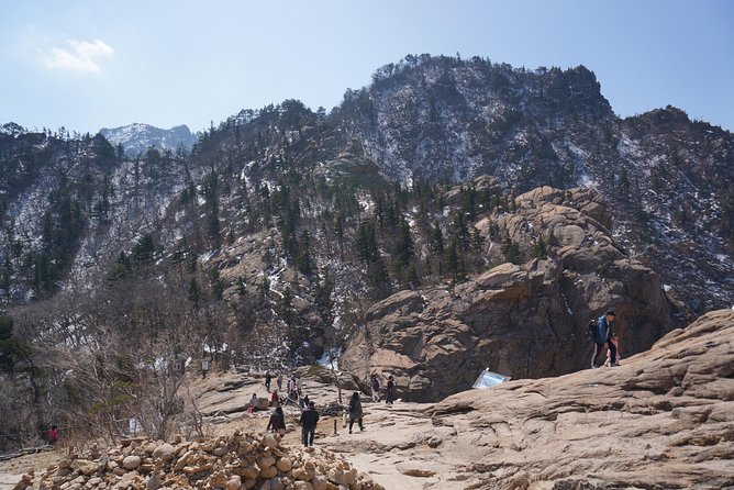 [Premium Private Tour] Mt Seorak & East Sea or Nami island from Seoul - Should You Book This Mt Seorak and Nami Private Tour?