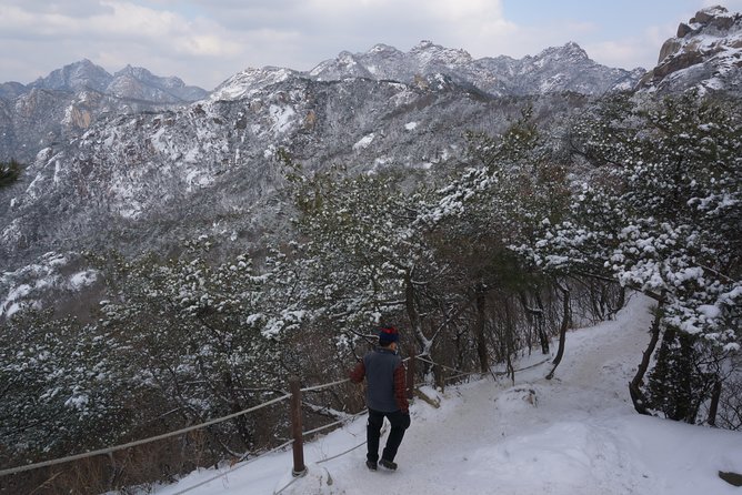 Private Bukhansan Hiking Tour (More Members Less Cost per Person) - Doseonsa Temple: A Quiet 1-Hour Pause After the Climb