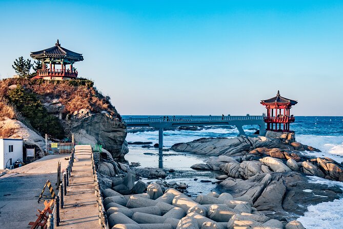Private Day Trip to Seoraksan National Park - Sokcho Central Market: a short taste of local food culture