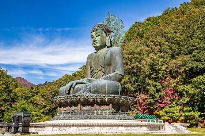Private Day Trip to Seoraksan National Park - Morning logistics: meeting point and timing that keeps the day moving