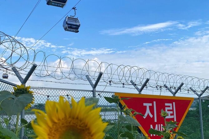 [Private] DMZ & Imjingak Peace Gondola Experience Inter-Korean War - Dora Observatory and Dorasan Station: looking north and learning what you’re seeing