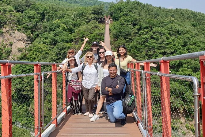 Private DMZ Tour and Suspension Bridge + Korean BBQ - DMZ Access From Seoul: Private Van, Public Rules