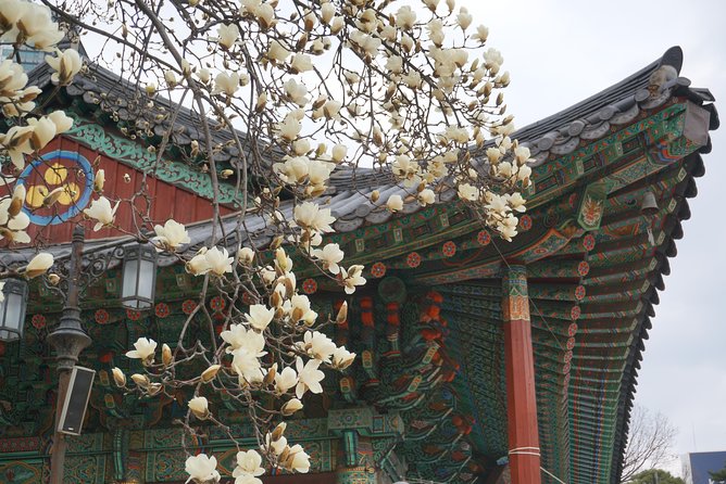 Private English Speaking Driver in Seoul: Airport Service Available - Palaces and traditional neighborhoods: what to expect with each stop