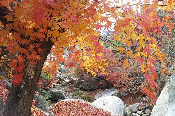 Private Hiking to Bukhansan & Korean Style Spa(Include Lunch) - Who this tour suits best (and who should skip it)