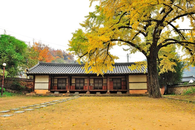 Private Jeonju Hanok Village - Culinary tour - Food focus: where bibimbap fits, and what costs extra