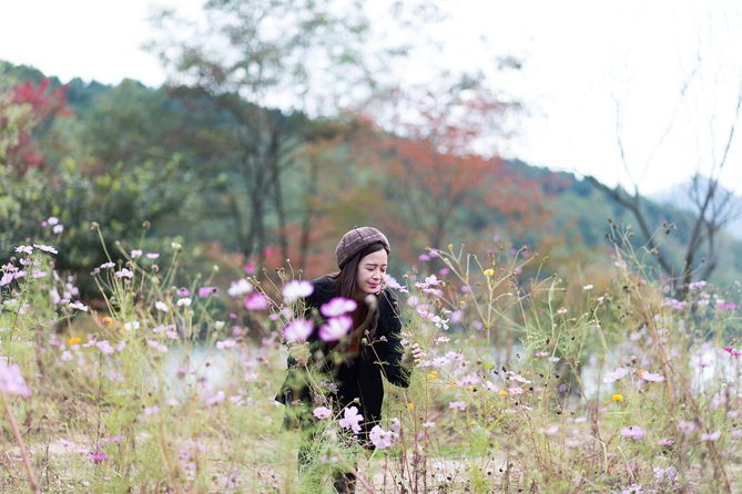 Private Nami Island Photo Shoot and Tour with a Photographer - Who this tour suits best (and who should skip it)