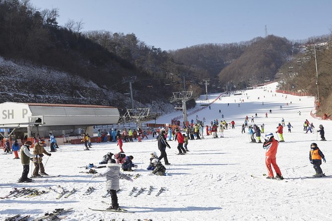 Private Ski Tour(Lesson) near Seoul at Elysian Gangchon Resort - Key Highlights You’ll Care About