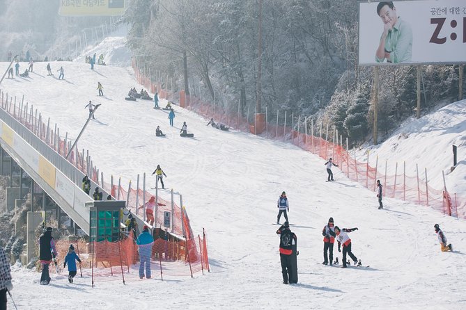 Private Ski Tour(Lesson) near Seoul at Elysian Gangchon Resort - Pickup, Drop-Off, and Private Transport: The Winter Convenience Factor