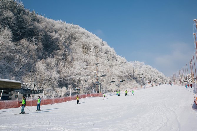 Private Ski Tour(Lesson) near Seoul at Elysian Gangchon Resort - The 2-Hour Lesson: How Tiny Groups Help You Learn Faster