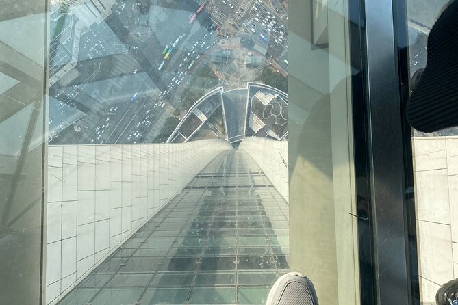 Private tour Lotte World,Tower,Aquarium(All Tickets are included) - Price and Value: Is $260 Worth It for Three Big Stops?