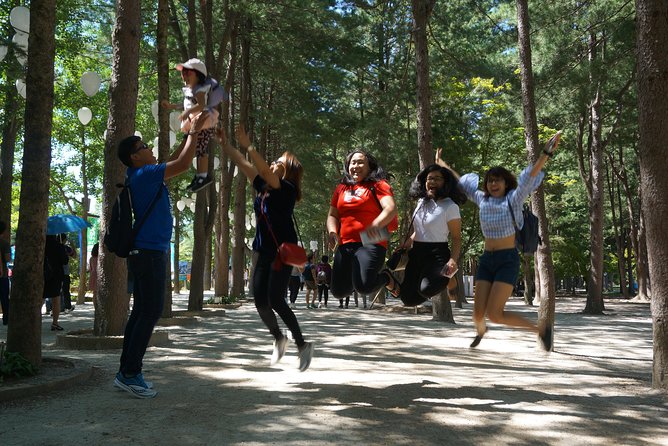 Private Tour: Nami Island& (Alpaca World 'or' Morning Calm)&Lunch - How this private Nami Island day stays flexible (without chaos)