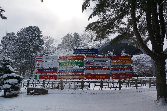 Private Tour: Nami Island& (Alpaca World 'or' Morning Calm)&Lunch - Who should book this tour, and who should skip it
