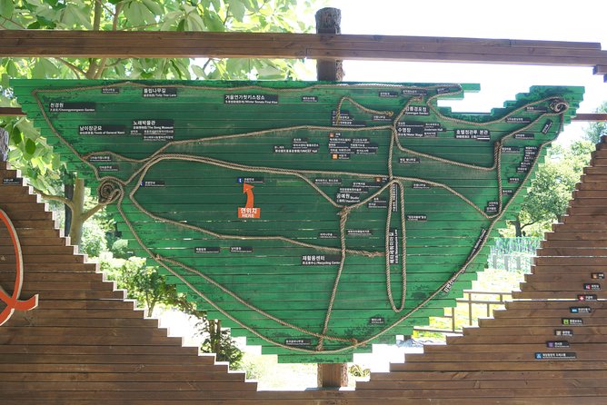 Private Tour: Nami Island& (Alpaca World 'or' Morning Calm)&Lunch - Should you book this private Nami Island combo?