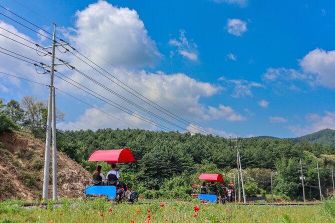 (Private tour) Nami Island + Railbike + Garden of morning calm - Price and what you’re actually paying for