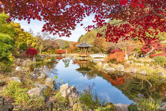 (Private tour) Nami Island + Railbike + Garden of morning calm - Morning flow: pickup, travel time, and how the day is paced
