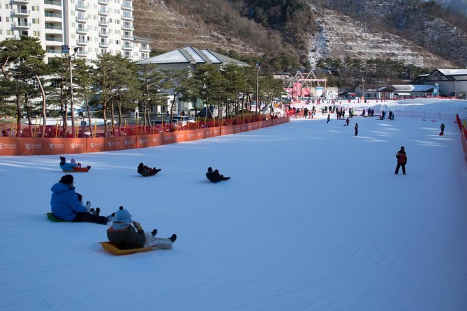 [Private Tour] Nami Island & Snow Viewing and Snow sled (More Members Less Cost) - How This Private Nami Island and Elysian Snow Day Works