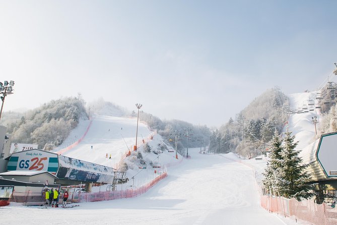 [Private Tour] Nami Island & Snow Viewing and Snow sled (More Members Less Cost) - Elysian Gangchon: Snow Viewing Plus Snow Sled Time