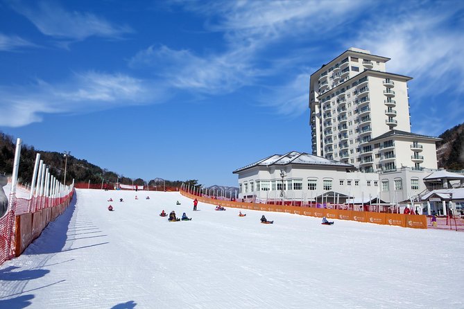 [Private Tour] Nami Island & Snow Viewing and Snow sled (More Members Less Cost) - Driving Guide and Pickup/Drop-Off: Why This Makes the Day Easier