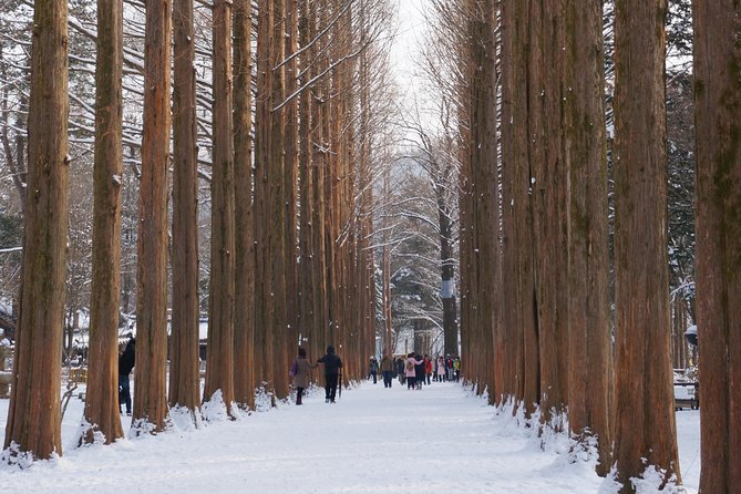 [Private Tour] Nami Island & Snow Viewing and Snow sled (More Members Less Cost) - What to Bring (So the Cold Doesn’t Win)