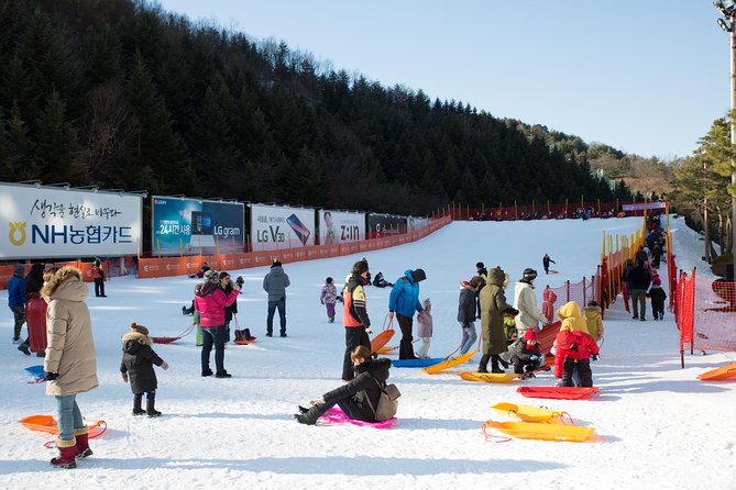 [Private Tour] Nami Island & Snow Viewing and Snow sled (More Members Less Cost) - Family Fit: Kids, Adults, and a Day That Doesn’t Feel Like a Chore