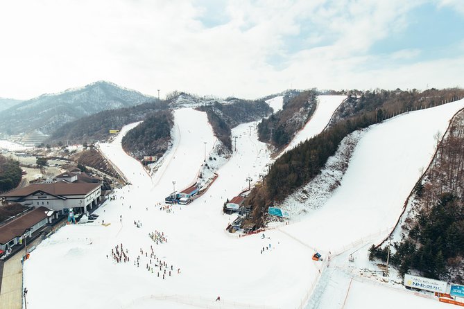 [Private Tour] Nami Island & Snow Viewing and Snow sled (More Members Less Cost) - Logistics Check: Tickets, Fees, and Small Details That Save Time