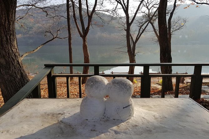 Private Tour Nami Island with Petite France 'and/or' The Garden of Morning Calm - How the itinerary works in real time (and where you’ll feel the walking)