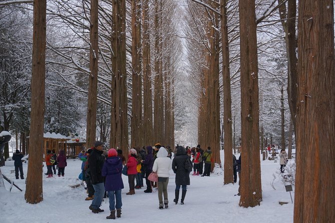 Private Tour Nami Island with Petite France 'and/or' The Garden of Morning Calm - Garden of Morning Calm: calm gardens, seasonal flowers, and time to breathe
