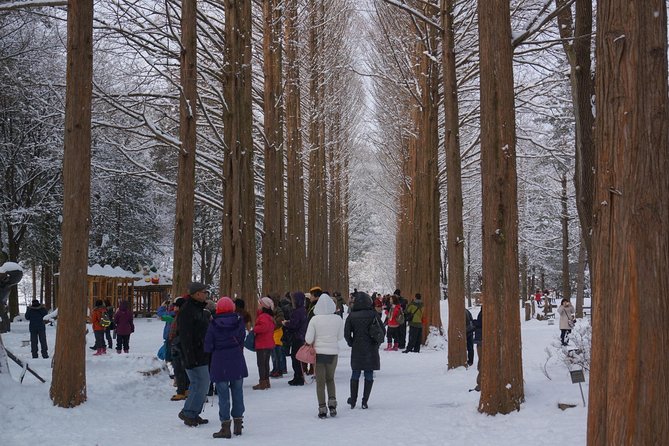 Private Tour Rail Bike & Nami Island & (Petite France or Garden of Morning Calm) - Private Day Trip Flow: Pickup, Comfort, and a Real Itinerary