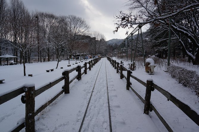Private Tour Rail Bike & Nami Island & (Petite France or Garden of Morning Calm) - Timing Tips for a Smooth 9–10 Hours