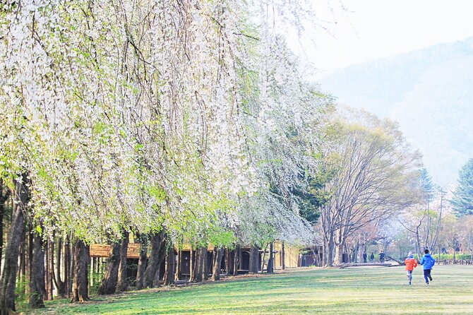 Private Tour to Alpaca world &Nami Island& Railbike with Tickets - Nami Island: Fairy Tale Village Meets Real Island Time