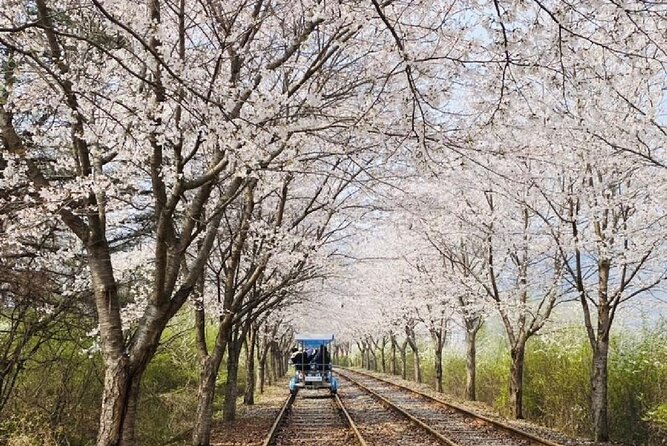 Private Tour to Alpaca world &Nami Island& Railbike with Tickets - Nami Island Extras: Zipwire and Motorboat Costs You Should Plan For