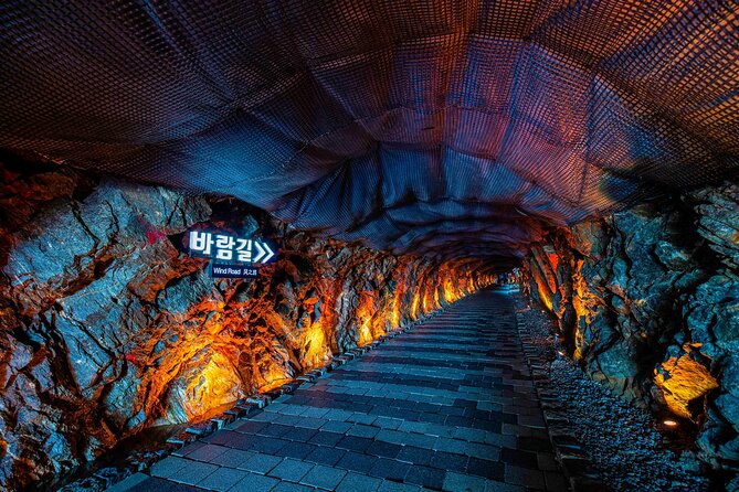 Seohaerang Cable Car, Gwangmyeong Cave & Suwon fr Seoul(EG Tour) - The guide factor: why it can make or break the day