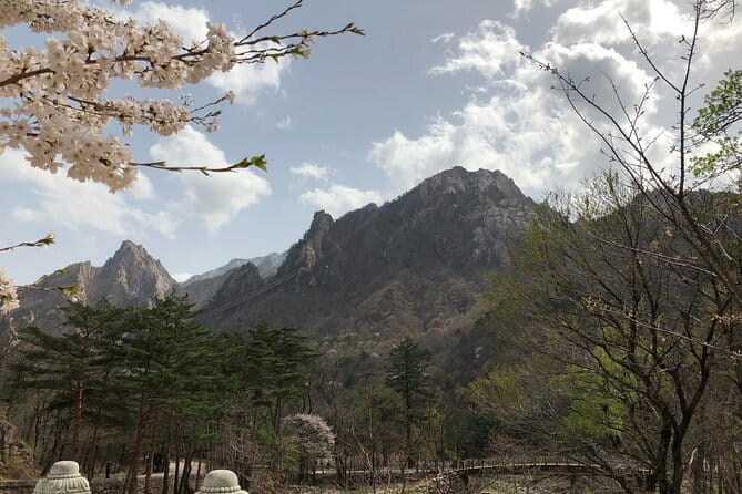 Seoraksan and Cherry Blossom Lake 1 day trip from Seoul - Key points to know before you go