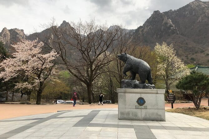Seoraksan and Cherry Blossom Lake 1 day trip from Seoul - A Spring Day Trip That Pairs Seoraksan Views With Yeongrangho Blossoms