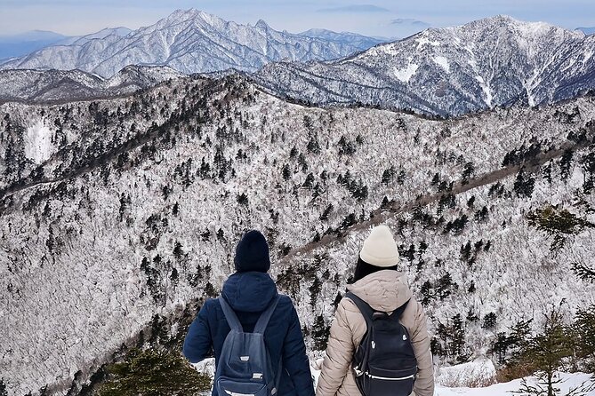 Seoraksan National Park & Nami Island - Key things to know before you go