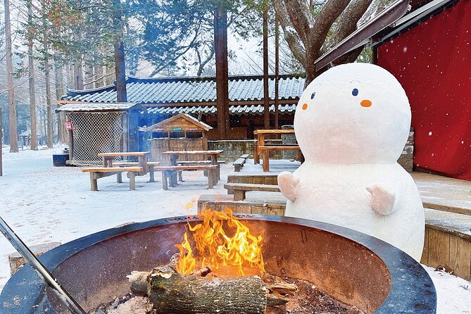 Seoraksan National Park & Nami Island - Group size and guide style: why it can feel smooth (or crowded)