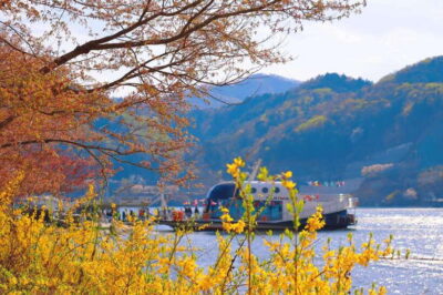 Seoul: Alpaca World & Nami Island optional Gangchon Railbike - Nami Island: Tree-Lined Avenues, Art Stops, and Time to Actually Wander