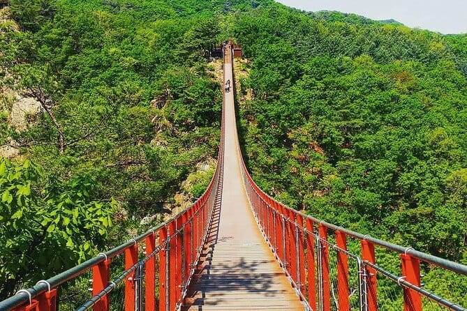 Seoul and Suburbs Private Customized Tour - What this private 10-hour Seoul tour really gives you