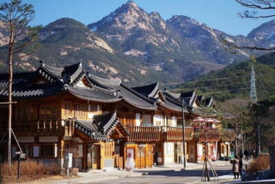 Seoul and Suburbs Private Customized Tour - Nami Island: tree-lined strolls, art moments, and romantic vibes