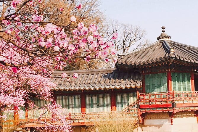 Seoul and Suburbs Private Customized Tour - Customization that actually helps: beyond a fixed checklist