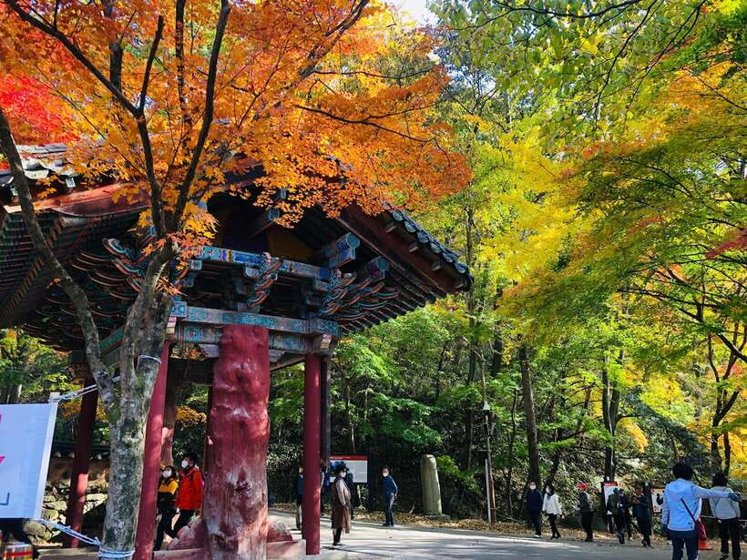 Seoul: Autumn Foliage - Mt. Naejang + Jeonju Hanok Village - Two stops, one long day: why this combo works