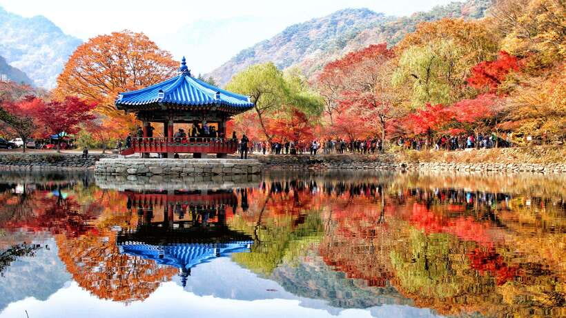 Seoul: Autumn Foliage - Mt. Naejang + Jeonju Hanok Village - Logistics that matter: Seoul meet points, van rides, and drop-offs