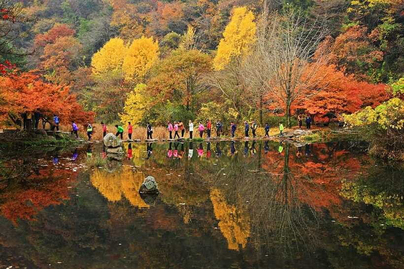 Seoul: Autumn Foliage - Mt. Naejang + Jeonju Hanok Village - Naejangsan National Park: chasing late-fall color the walkable way