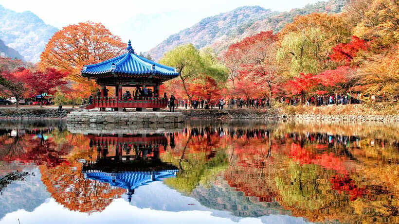 Seoul: Autumn Foliage - Mt. Naejang + Jeonju Hanok Village - Should you book this Seoul autumn day trip?