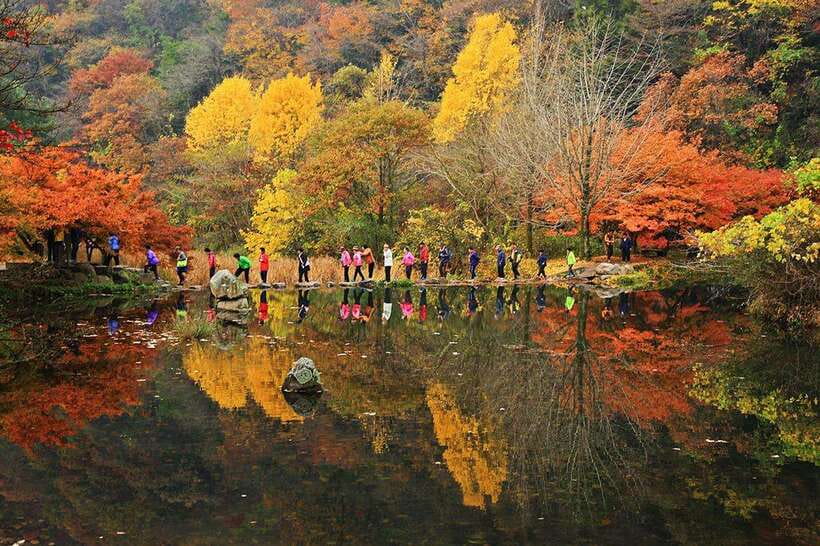 Seoul: Autumn Foliage - Mt. Naejang + Jeonju Hanok Village - Price and value for a 16-hour day trip