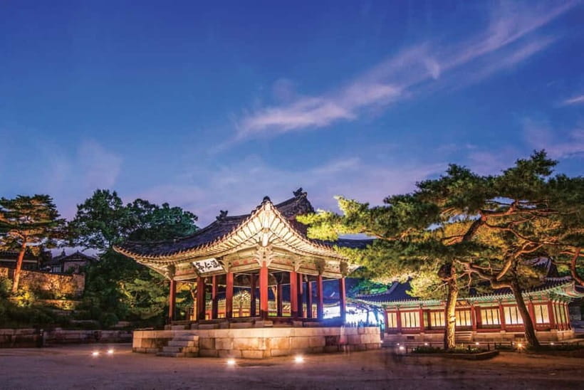 Seoul: Changgyeonggung & Gwangjang Market & Naksan Park - Changgyeonggung Palace lit up: walking history without the daytime crowds
