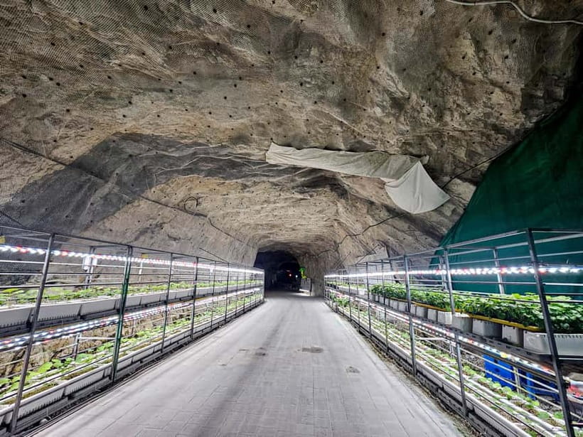 Seoul: Chungju Cruise, Cable Car & Cave Kayak Adventure Tour - Should you book the Chungju Cruise, Cable Car & Cave Kayak tour?