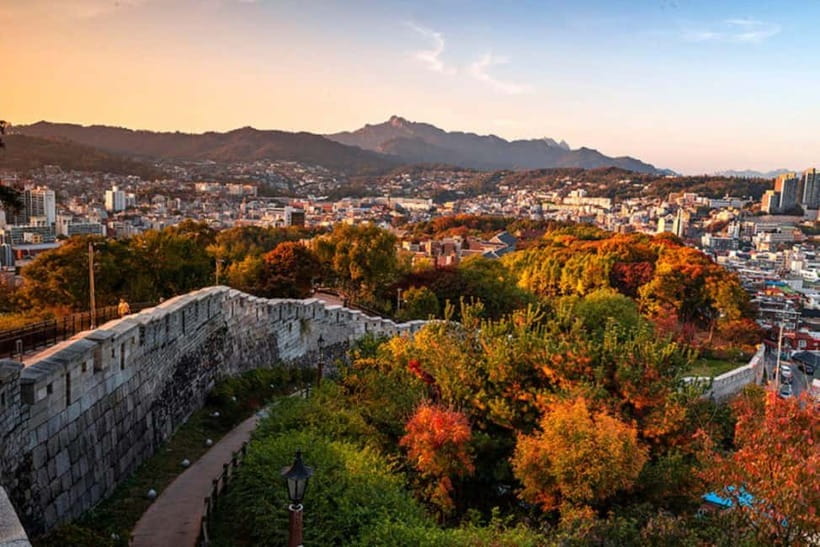 Seoul: City or Suburbs Private Chartered Car Tour for 10HR - What the driver-guide actually brings to the day